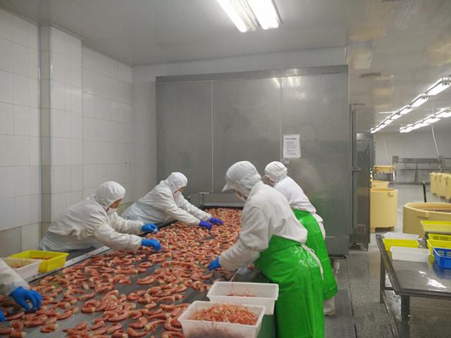 蝦類速凍加工生產(chǎn)線 海產(chǎn)品加工設(shè)備 蝦類加工設(shè)備