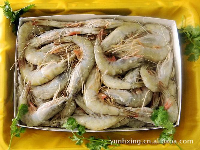 各種海鮮水產(chǎn) 活龍蝦 新鮮水產(chǎn)品】價(jià)格,廠家,圖片,冷凍水產(chǎn)品,乳山市