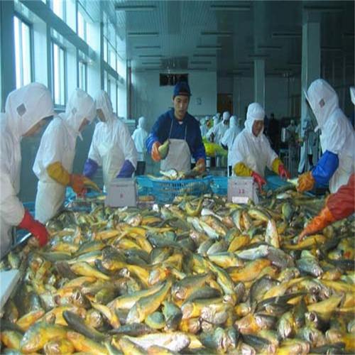 浙江寧波速凍庫 水產(chǎn)品加工低溫冷庫 拼裝小型冷庫 土建冷.