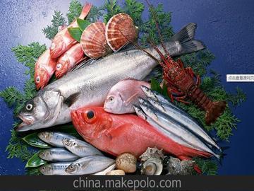海鮮冷庫 廠家直銷水產(chǎn)品冷庫 水產(chǎn)品保鮮冷藏冷凍