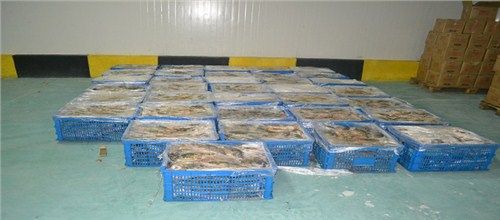 >上海水產(chǎn)冷鏈倉庫  品牌: 產(chǎn)品簡介: 上海水產(chǎn)冷鏈倉庫|上海海鮮冷凍