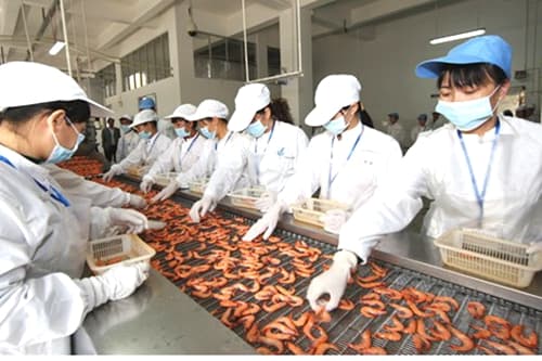 其中指出水產(chǎn)品加工趨勢有 行業(yè)資訊 市場分析 >> 中國水產(chǎn)加工