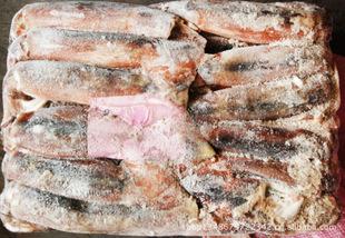 批發(fā)冷凍粗加工水產(chǎn)品 冷凍魷魚
