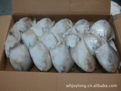 冷凍粗加工水產(chǎn)品-供應(yīng)大量出口品質(zhì)/鯧魚(yú)-冷凍粗加工水產(chǎn)品盡在阿里巴巴-威海市久.