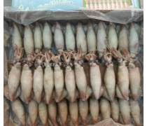 冷凍水產(chǎn)品魷魚(yú)企業(yè)黃頁(yè)