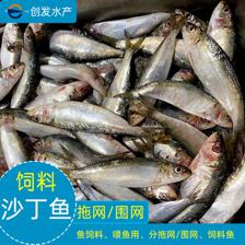 沙丁魚飼料速凍水產(chǎn)品喂魚用魚飼料拖網(wǎng)魚圍網(wǎng)魚冷凍海鮮凍魚加工