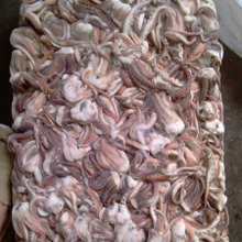 魷魚須_冷凍粗加工水產(chǎn)品_魷魚須批發(fā)_魷魚須供應(yīng)_阿里巴巴