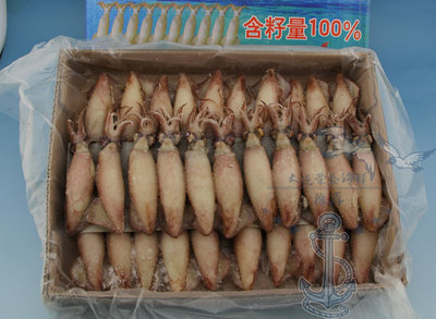 冷凍粗加工水產(chǎn)品-【榮盛海鮮】大連特級(jí)滿籽烏賊 海兔子 大籽烏 墨魚 墨斗魚-冷.