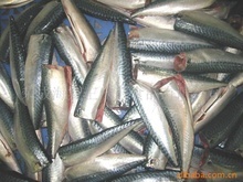 冷凍鮐魚_冷凍粗加工水產(chǎn)品_冷凍鮐魚批發(fā)_冷凍鮐魚供應(yīng)_阿里巴巴