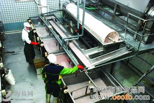 開漁后福建石獅水產(chǎn)品加工企業(yè)一片繁忙 圖