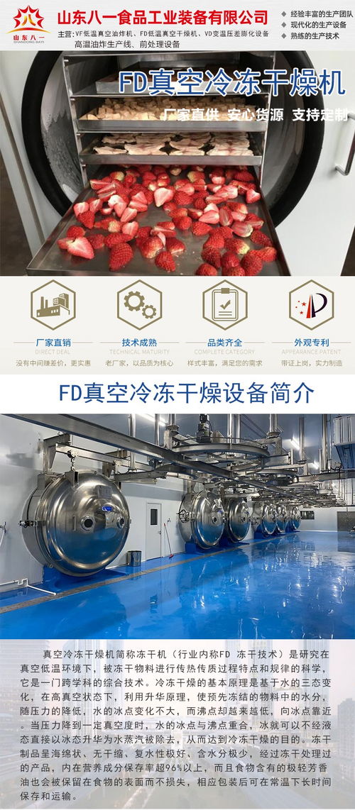 全自動(dòng)真空冷凍干燥機(jī)大型沙棘凍干機(jī)