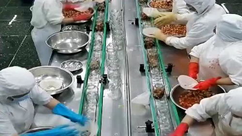 都說水果罐頭不健康,可看完食品廠的加工過程,我有點(diǎn)懷疑了
