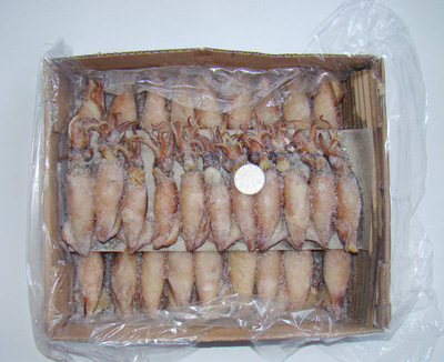 冷凍粗加工水產(chǎn)品-長期供應(yīng) 冷凍粗加工水產(chǎn)品 熟凍糕魷魚 大量批發(fā)-冷凍粗加工水.