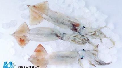 海鮮冷庫建設(shè)水產(chǎn)品貯藏