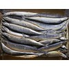 特價供應(yīng)臺灣冷凍秋刀魚 日本秋刀魚_冷凍水產(chǎn)品_加工水產(chǎn)品_簡加工類_供應(yīng)_食品商務(wù)中心_食品伙伴網(wǎng)
