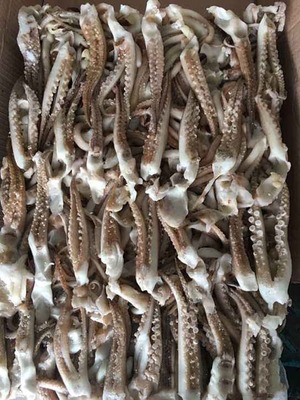 阿根廷魷魚須批發(fā)_秘魯魷魚須價格_魷魚須廠家貨源供貨