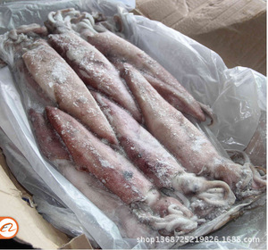 【福建水產(chǎn)品】福建水產(chǎn)品價格/圖片_福建水產(chǎn)品批發(fā)/采購_福建水產(chǎn)品廠家/供應(yīng)商