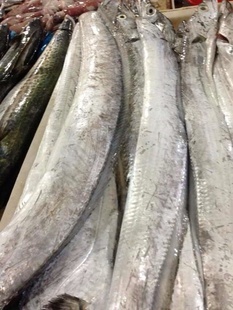冷凍粗加工水產(chǎn)品-廠家直銷冷凍水產(chǎn)帶魚(yú) 冷凍帶魚(yú)批發(fā)-冷凍粗加工水產(chǎn)品盡在阿里巴.
