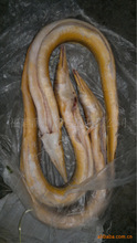 馬尾_冷凍粗加工水產(chǎn)品_馬尾價(jià)格_優(yōu)質(zhì)馬尾批發(fā)/采購(gòu) 