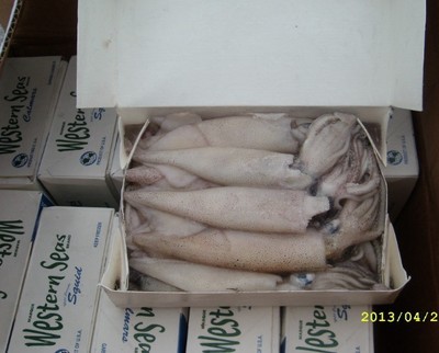 供應(yīng)新西蘭冷凍魷魚(yú) 魷魚(yú)須 魷魚(yú)頭 魷魚(yú)筒_供應(yīng)新西蘭冷凍魷魚(yú) 魷魚(yú)須 魷魚(yú)頭 魷魚(yú)筒價(jià)格_供應(yīng)新西蘭冷凍魷魚(yú) 魷魚(yú)須 魷魚(yú)頭 魷魚(yú)筒廠家冷凍粗加工水產(chǎn)品