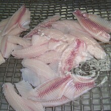湛江國(guó)聯(lián)水產(chǎn)