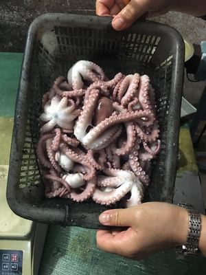 【巨匠日本料理】_巨匠日本料理廠家_巨匠日本料理批發(fā)市場 