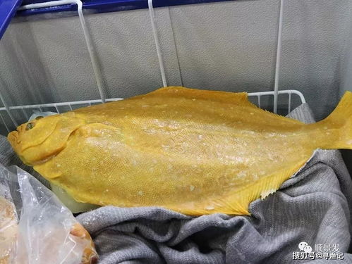 尋漁記丨積極參加2019年中國國際漁業(yè)博覽會
