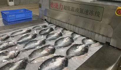 速凍后的魚(yú)比活魚(yú)更有營(yíng)養(yǎng)嗎?