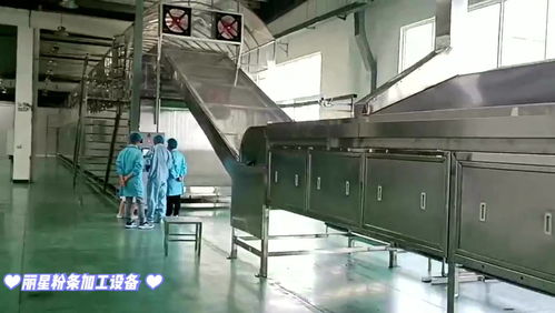 粉絲粉條生產(chǎn)線帶烘干制冷老化,自動(dòng)化粉條加工設(shè)備室內(nèi)運(yùn)行,加工粉條出機(jī)無(wú)需晾曬