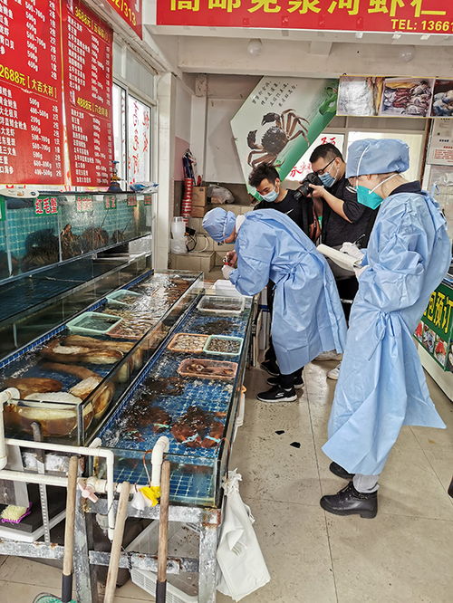 上海6月起對(duì)重點(diǎn)生鮮食品采樣,已完成核酸檢測(cè)樣品均為陰性